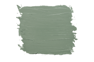 Coastal Sage interior paint color