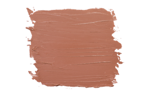 Desert Clay interior paint color